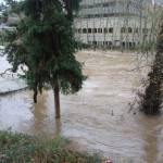 The Cedar River at the Renton Library on Thursday morning, Dec. 11. Photo by Bailey Jo Josie/Sound Publishing