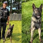 Officer Jaren Jokela with K-9 Jager and Jager. Courtesy photos.
