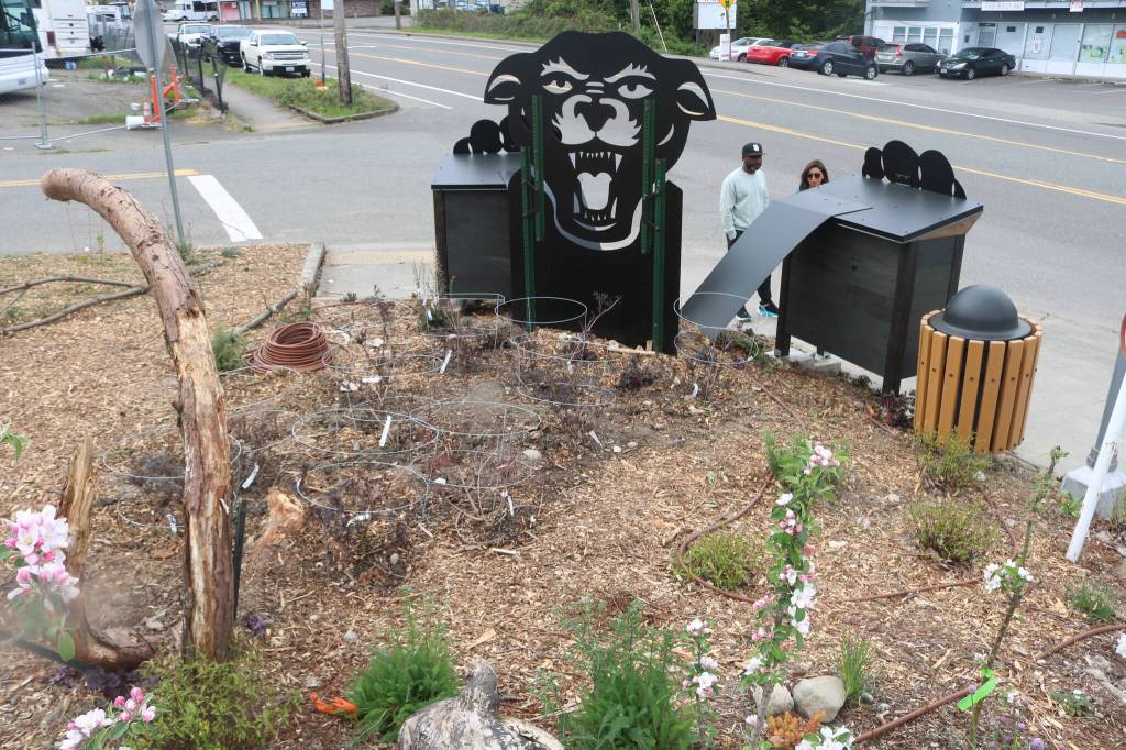 Plants and trees will be in full bloom soon following the official opening of the new Black Panther Park. Photo by Bailey Jo Josie/Sound Publishing