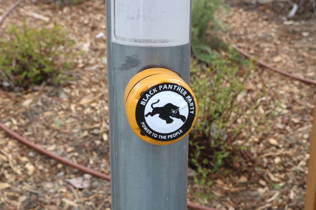 The Black Panther Party sticker on the crosswalk button near the main entrance to the park. Photo by Bailey Jo Josie/Sound Publishing