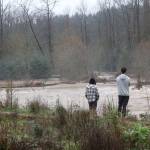 Onlookers stop off SR-169 to view the flooded Cedar River on Dec. 12, 2025. Photo by Bailey Jo Josie/Sound Publishing.